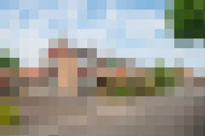 Prunushof 78 Zelhem thumbnail 5