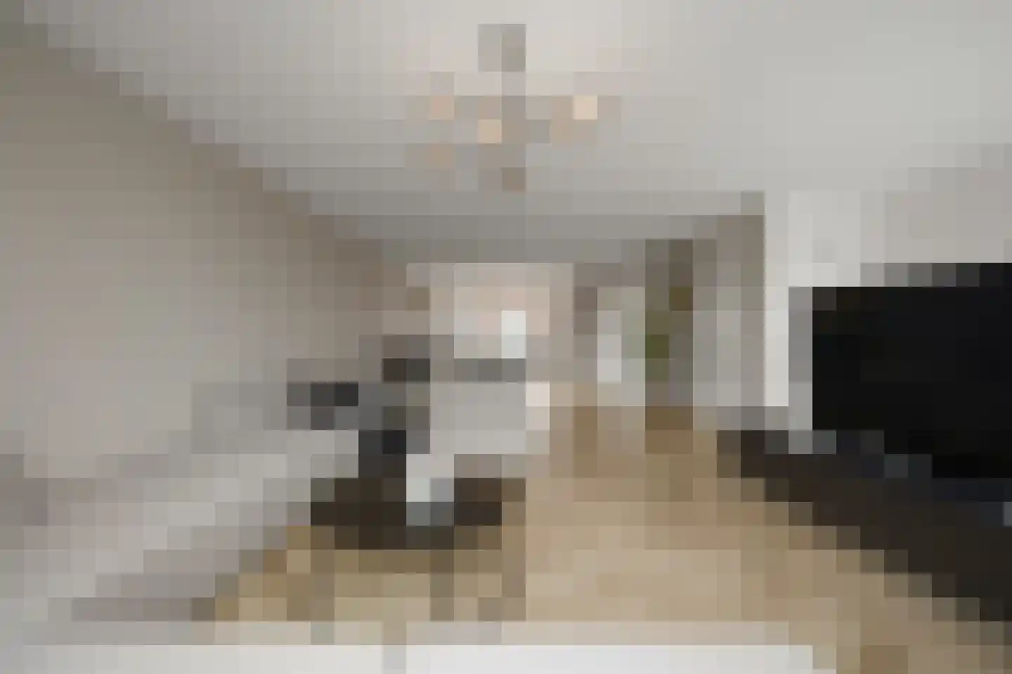 Prunuskade 33 Rijswijk thumbnail 11