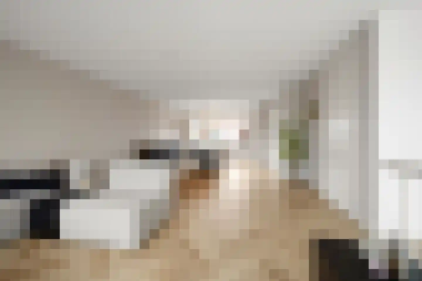 Prunuskade 33 Rijswijk thumbnail 13