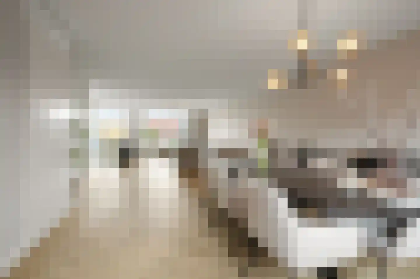 Prunuskade 33 Rijswijk thumbnail 16