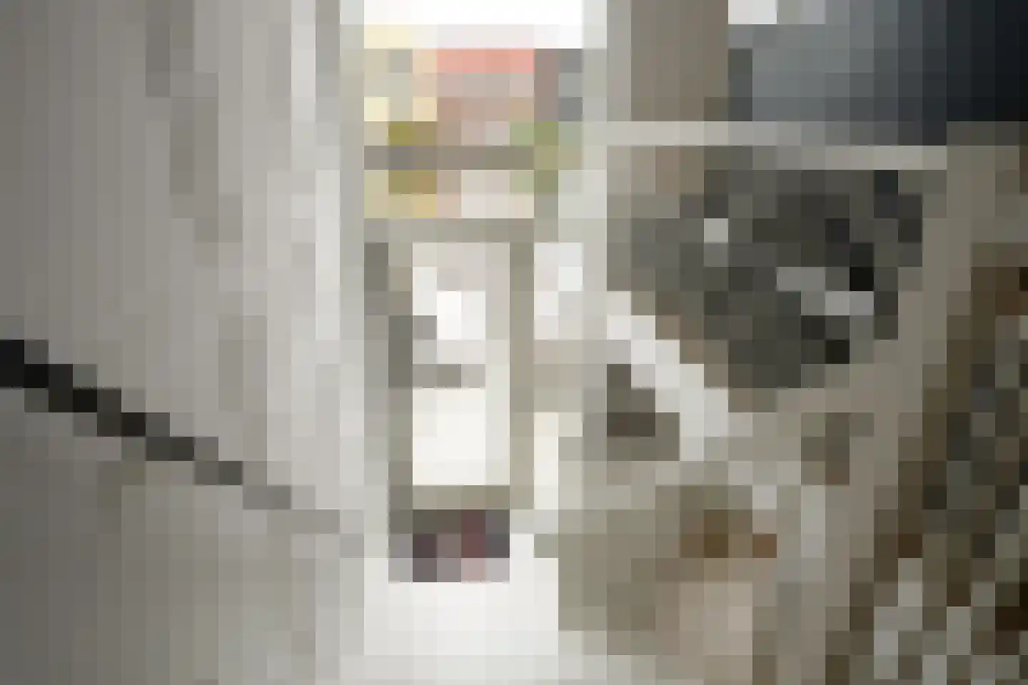 Prunuskade 33 Rijswijk thumbnail 18