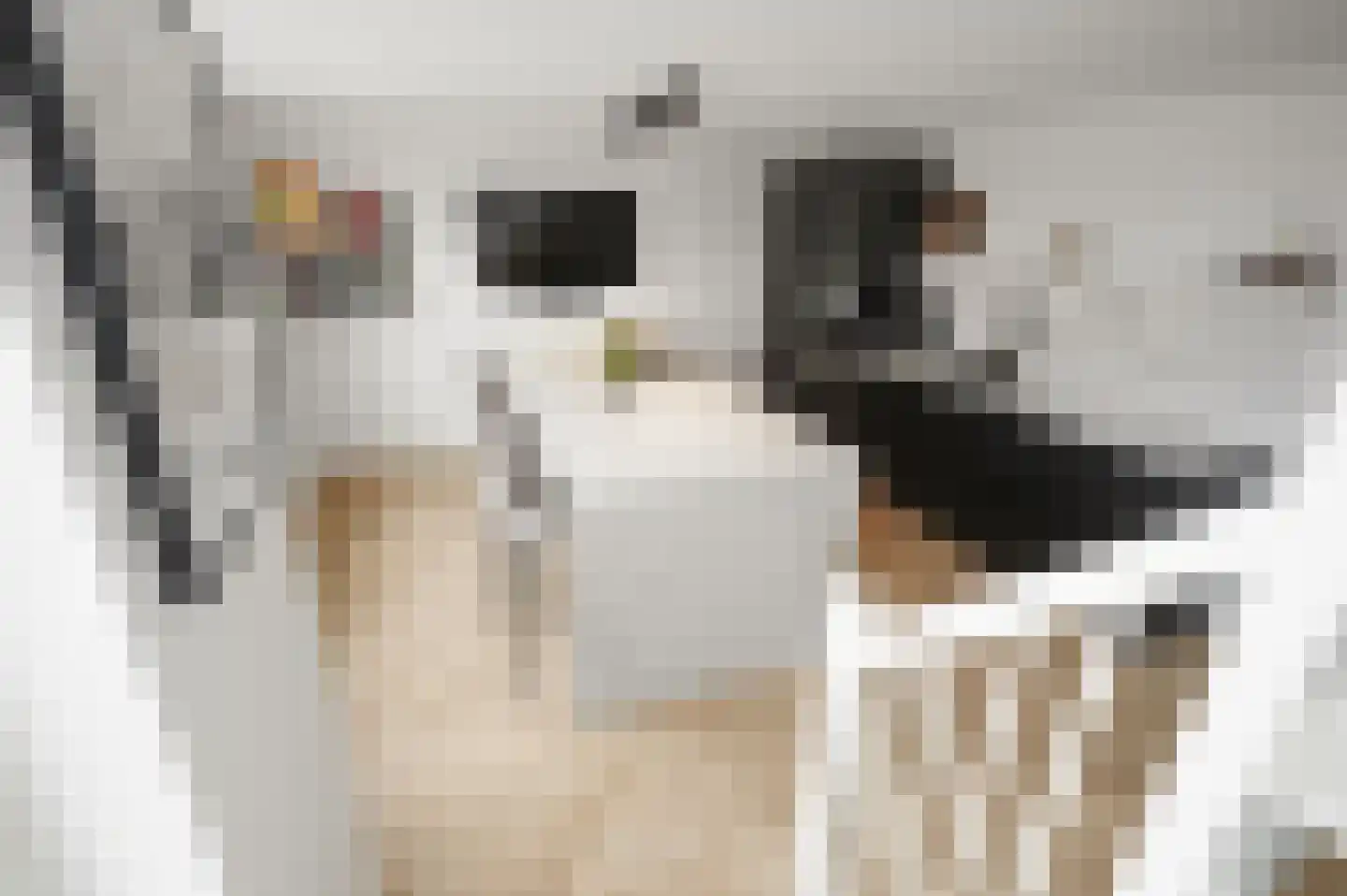 Prunuskade 33 Rijswijk thumbnail 19