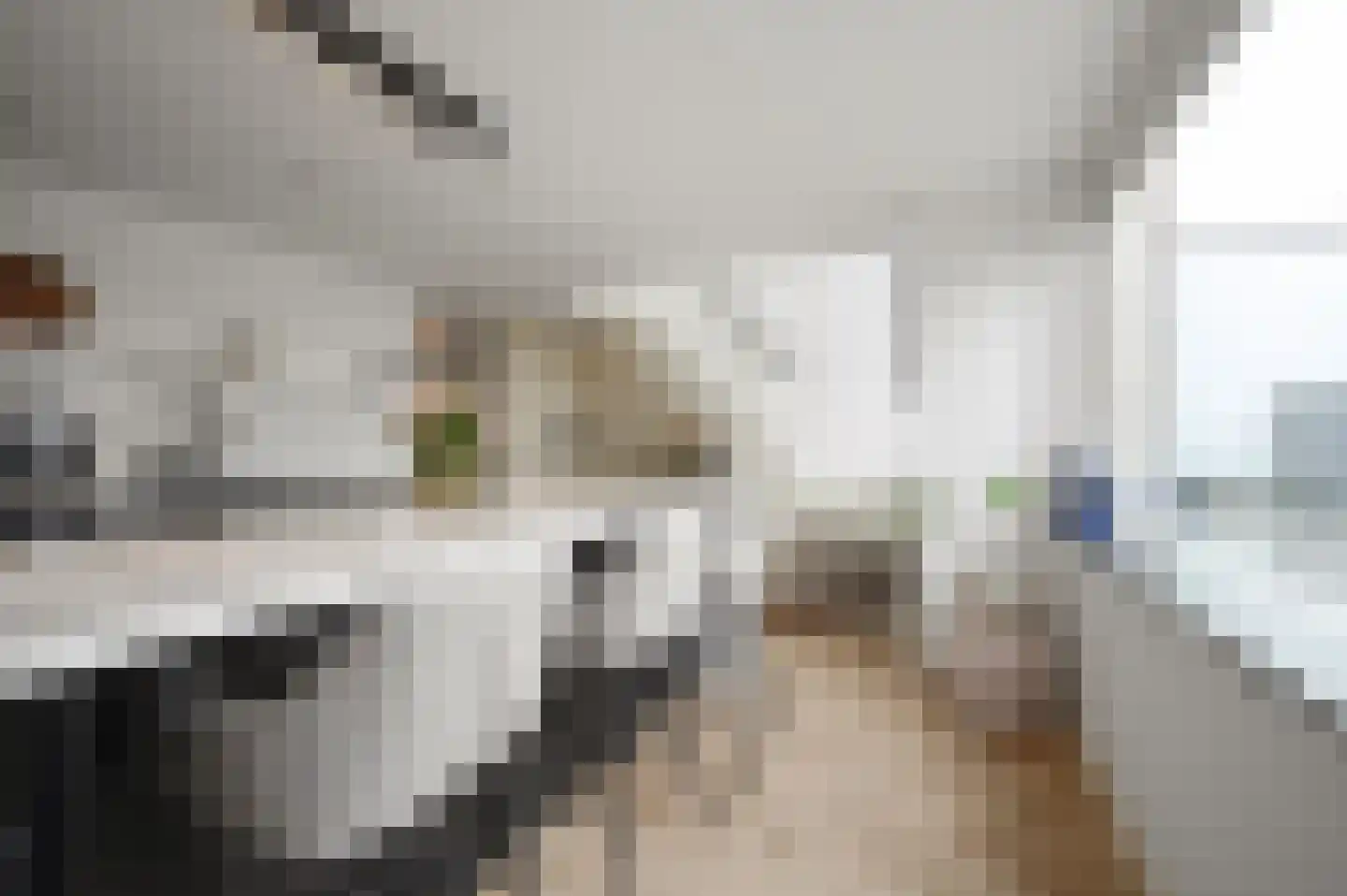 Prunuskade 33 Rijswijk thumbnail 20
