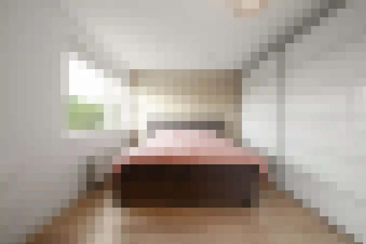 Prunuskade 33 Rijswijk thumbnail 41
