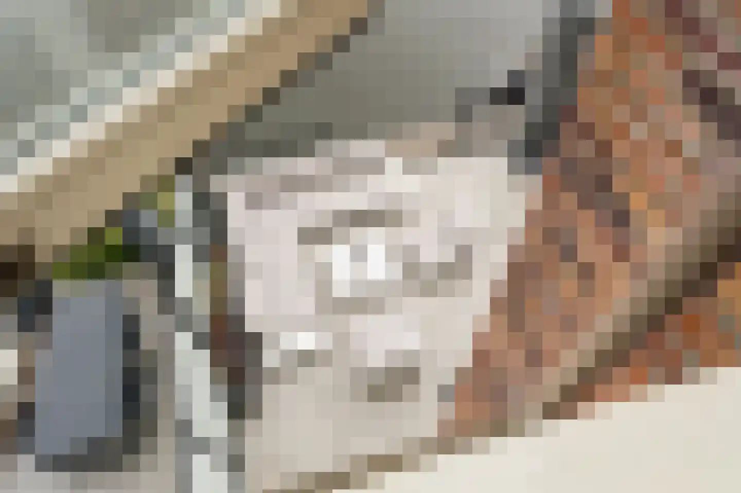 Prunuskade 33 Rijswijk thumbnail 42