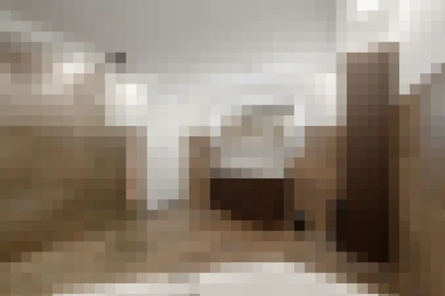 Prunuskade 33 Rijswijk thumbnail 44