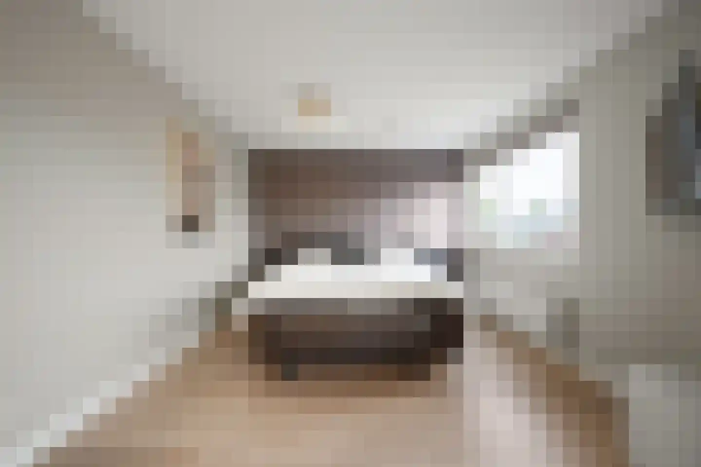 Prunuskade 33 Rijswijk thumbnail 51