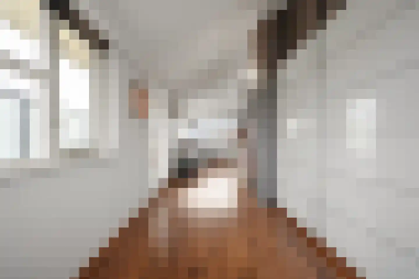 Prunuskade 33 Rijswijk thumbnail 54