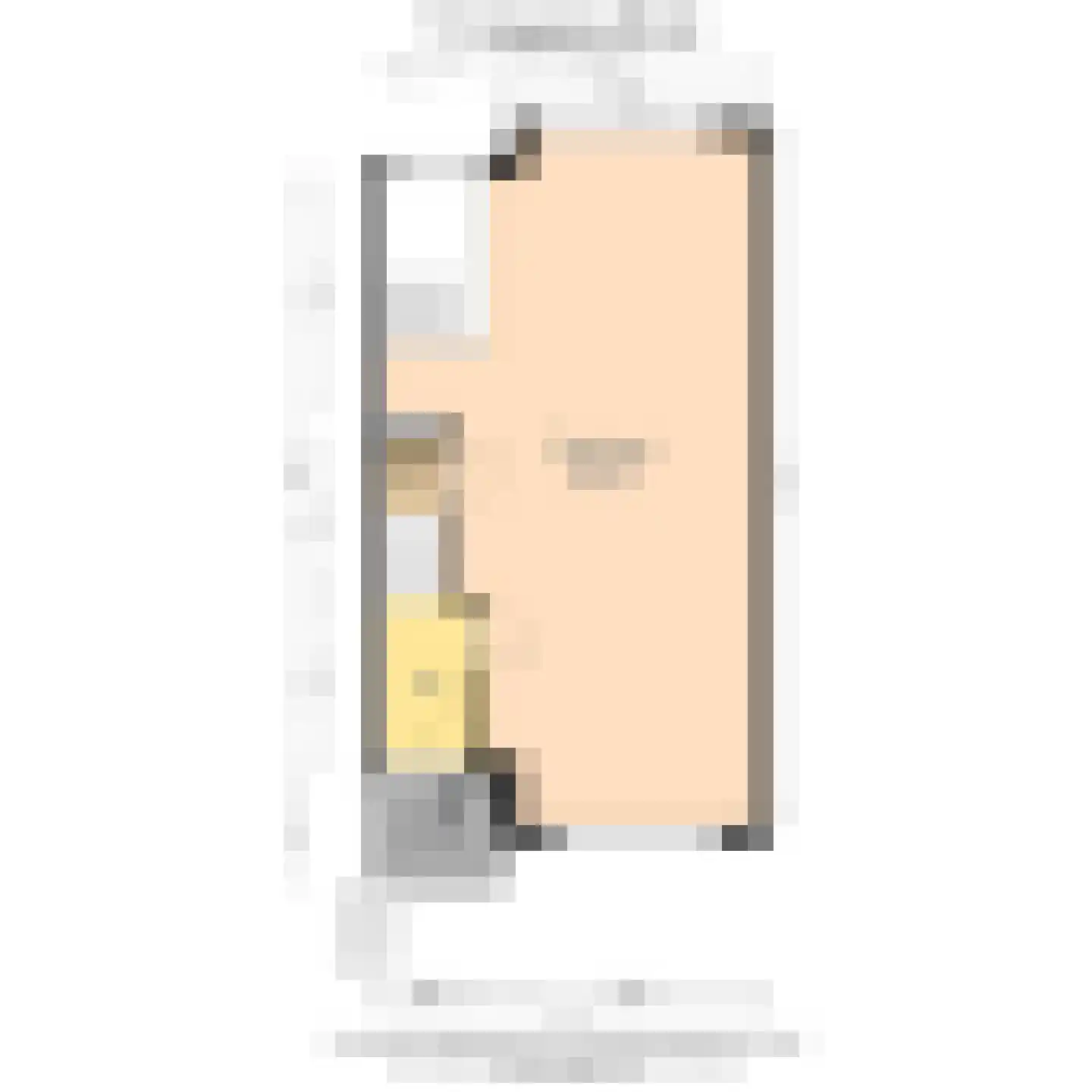 Prunuskade 33 Rijswijk thumbnail 67