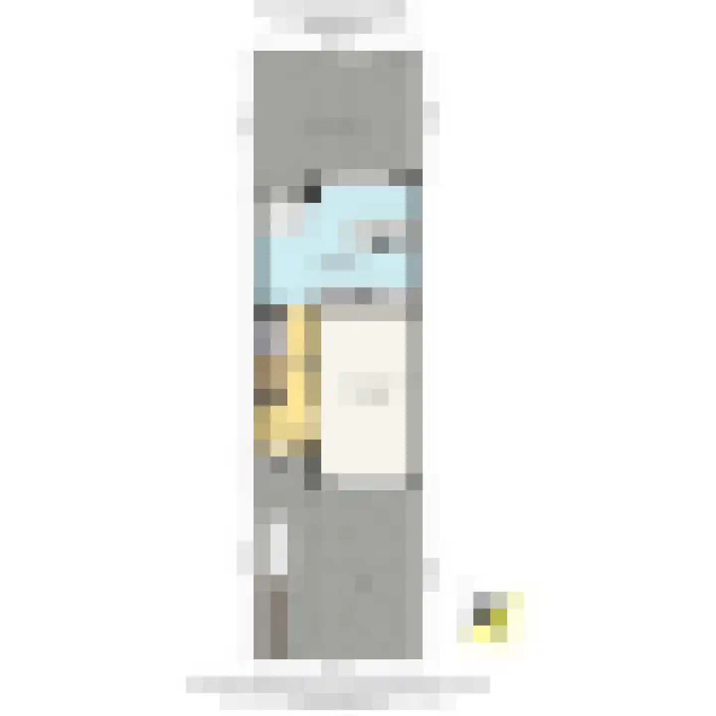 Prunuskade 33 Rijswijk thumbnail 73