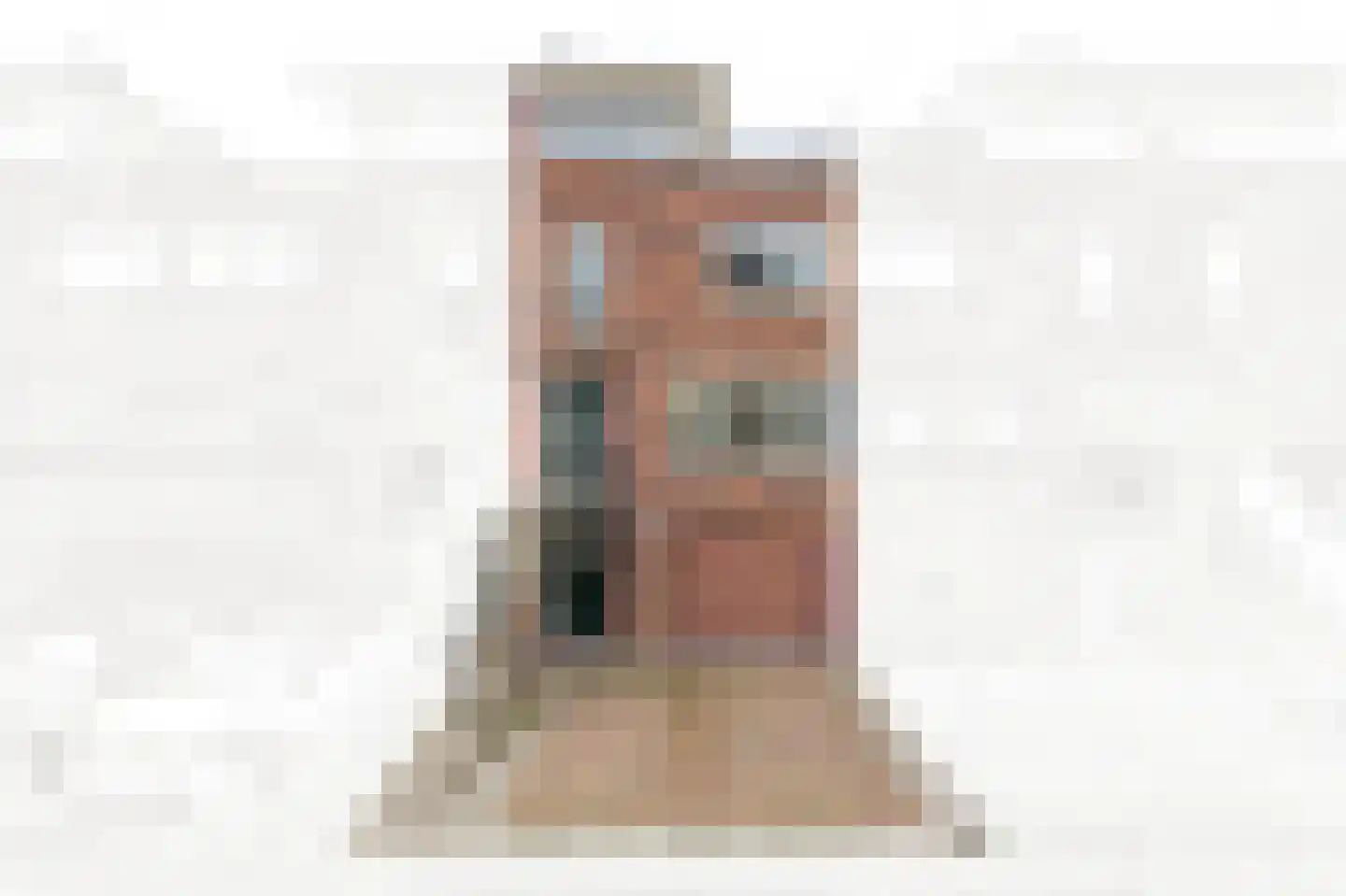 Prunuskade 33 Rijswijk thumbnail 9
