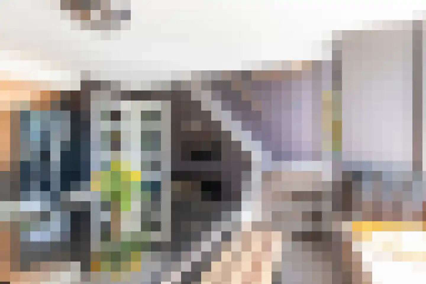 Prunuskade 40 Rijswijk thumbnail 20