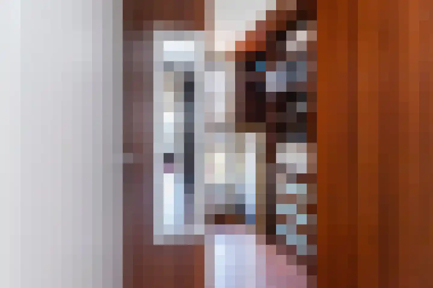 Prunuskade 40 Rijswijk thumbnail 41