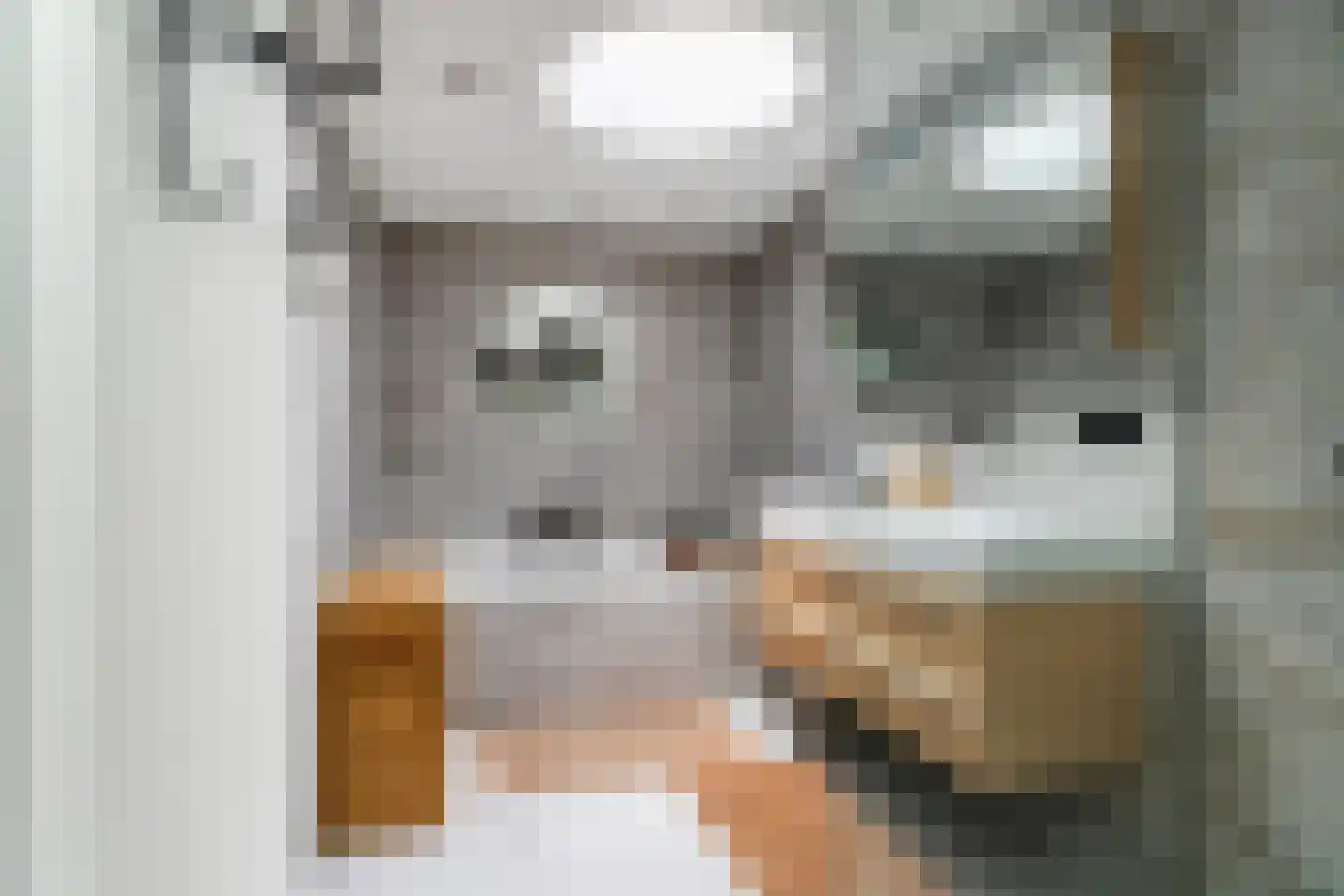 Prunuskade 40 Rijswijk thumbnail 42