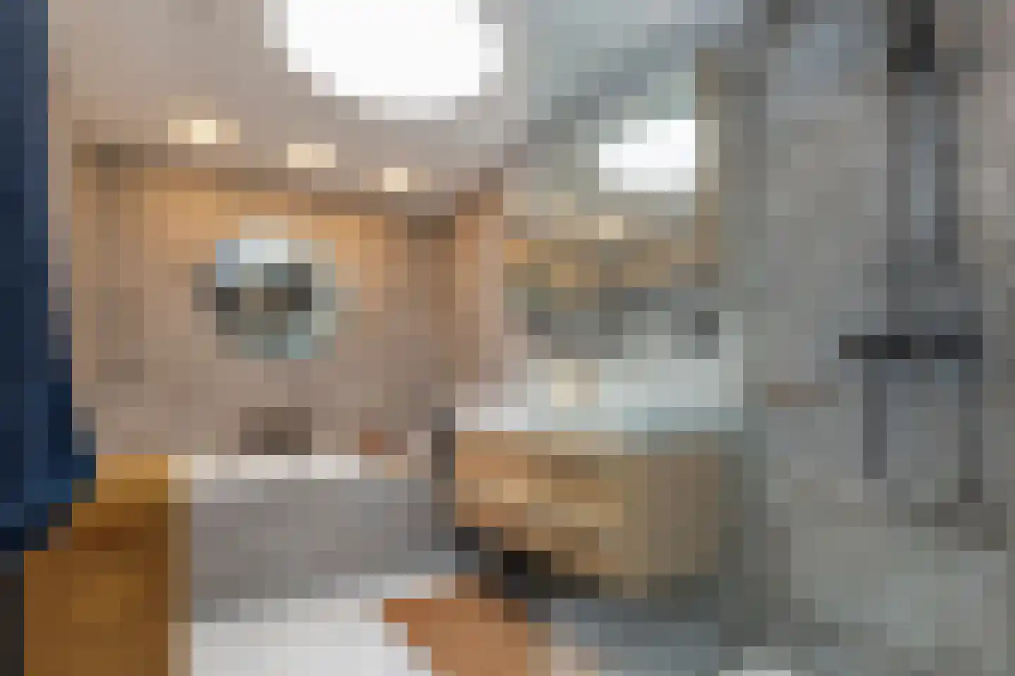 Prunuskade 40 Rijswijk thumbnail 43