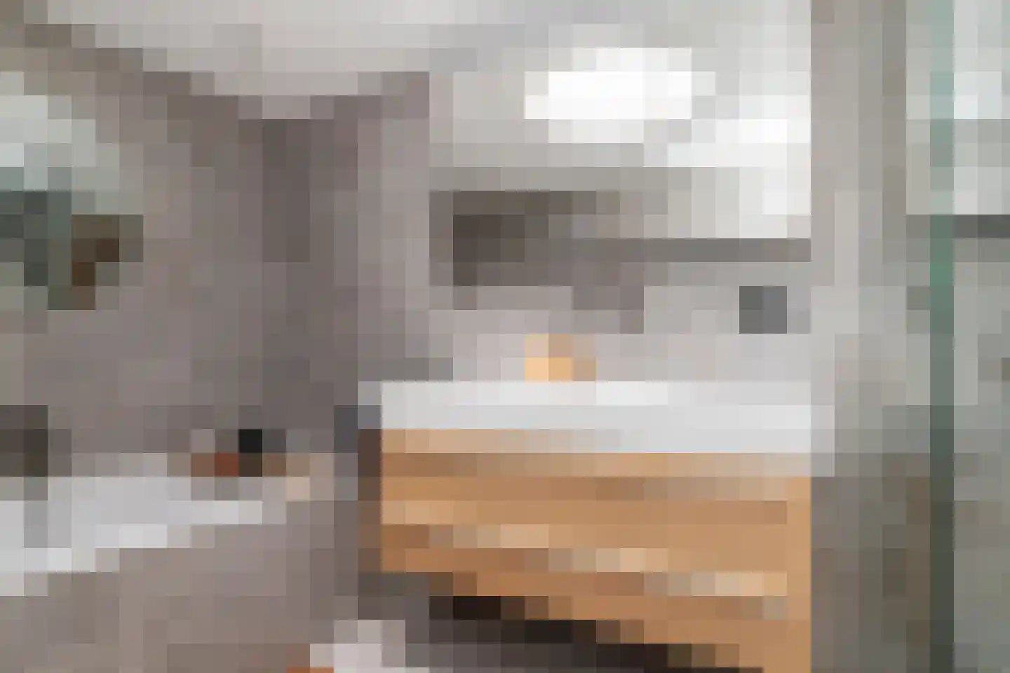 Prunuskade 40 Rijswijk thumbnail 44