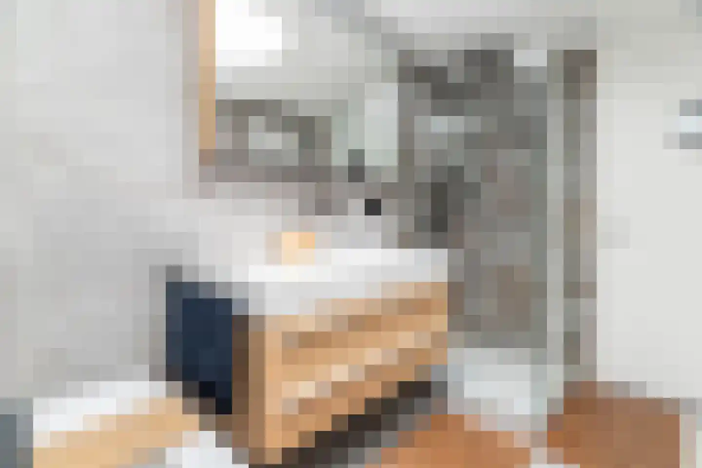 Prunuskade 40 Rijswijk thumbnail 45