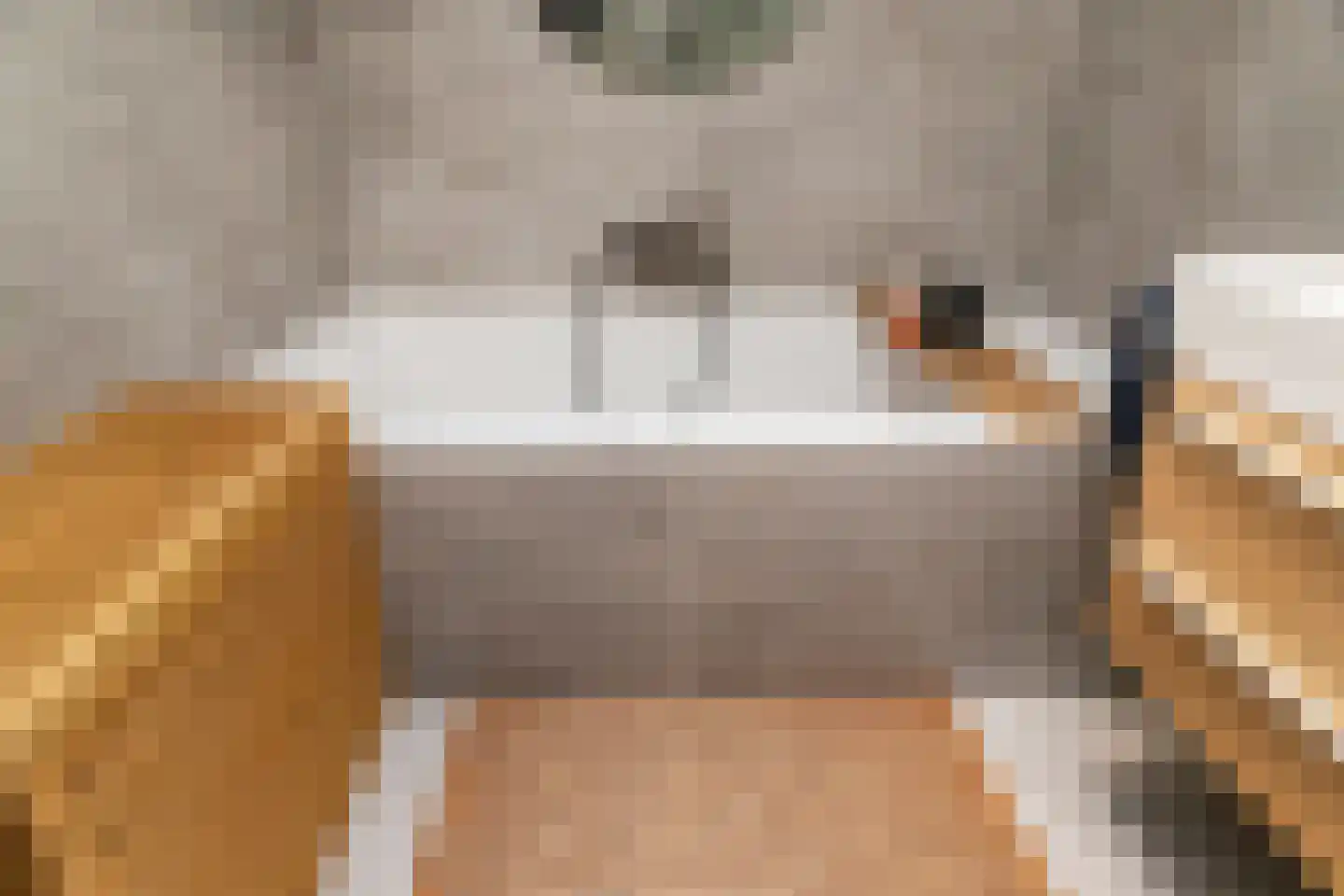 Prunuskade 40 Rijswijk thumbnail 46