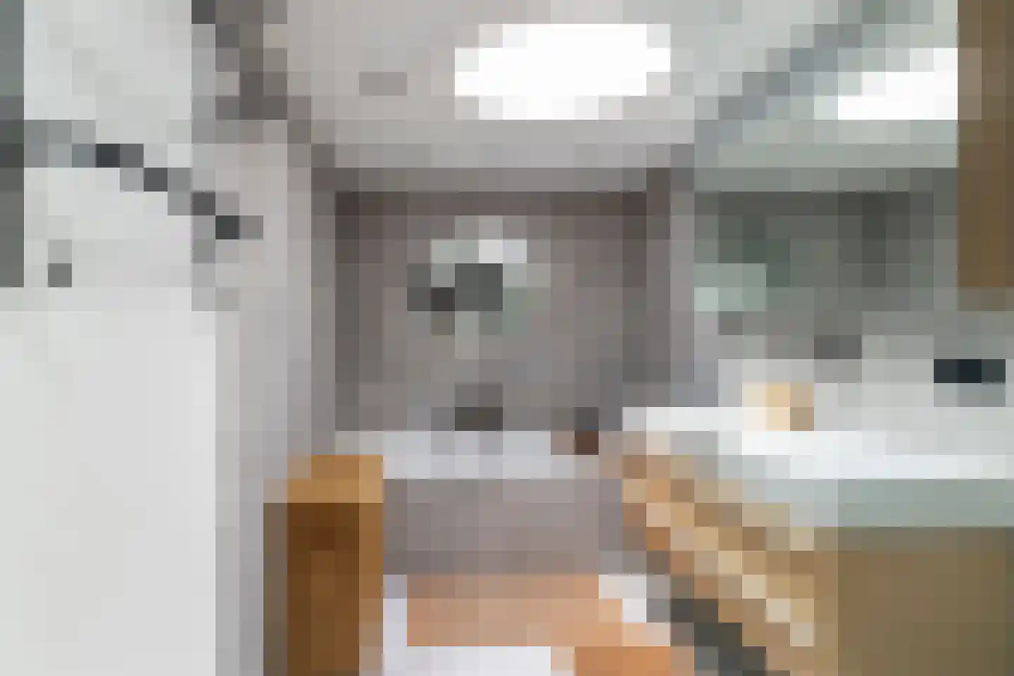 Prunuskade 40 Rijswijk thumbnail 6