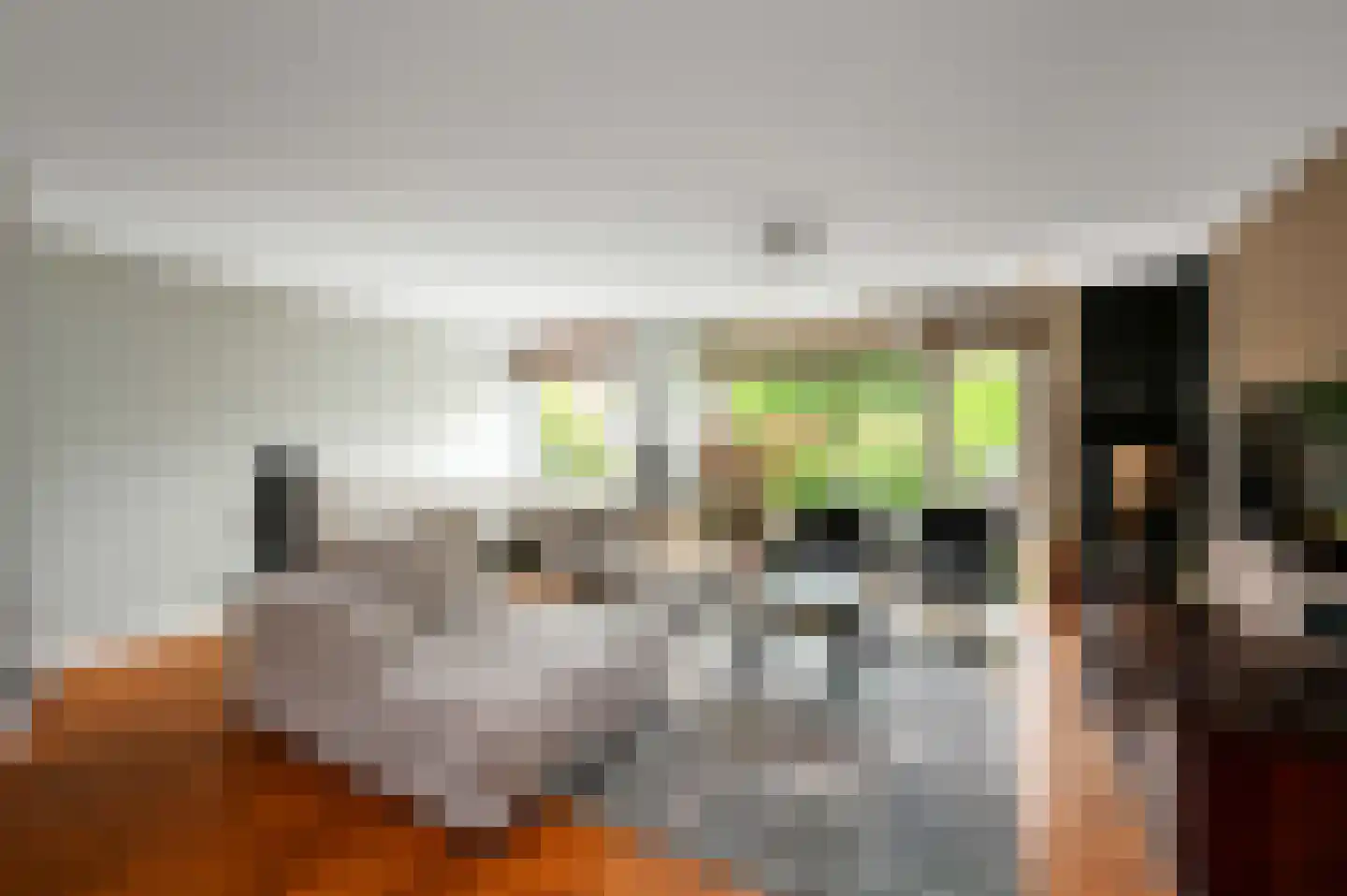 Prunuskade 5 Rijswijk thumbnail 13
