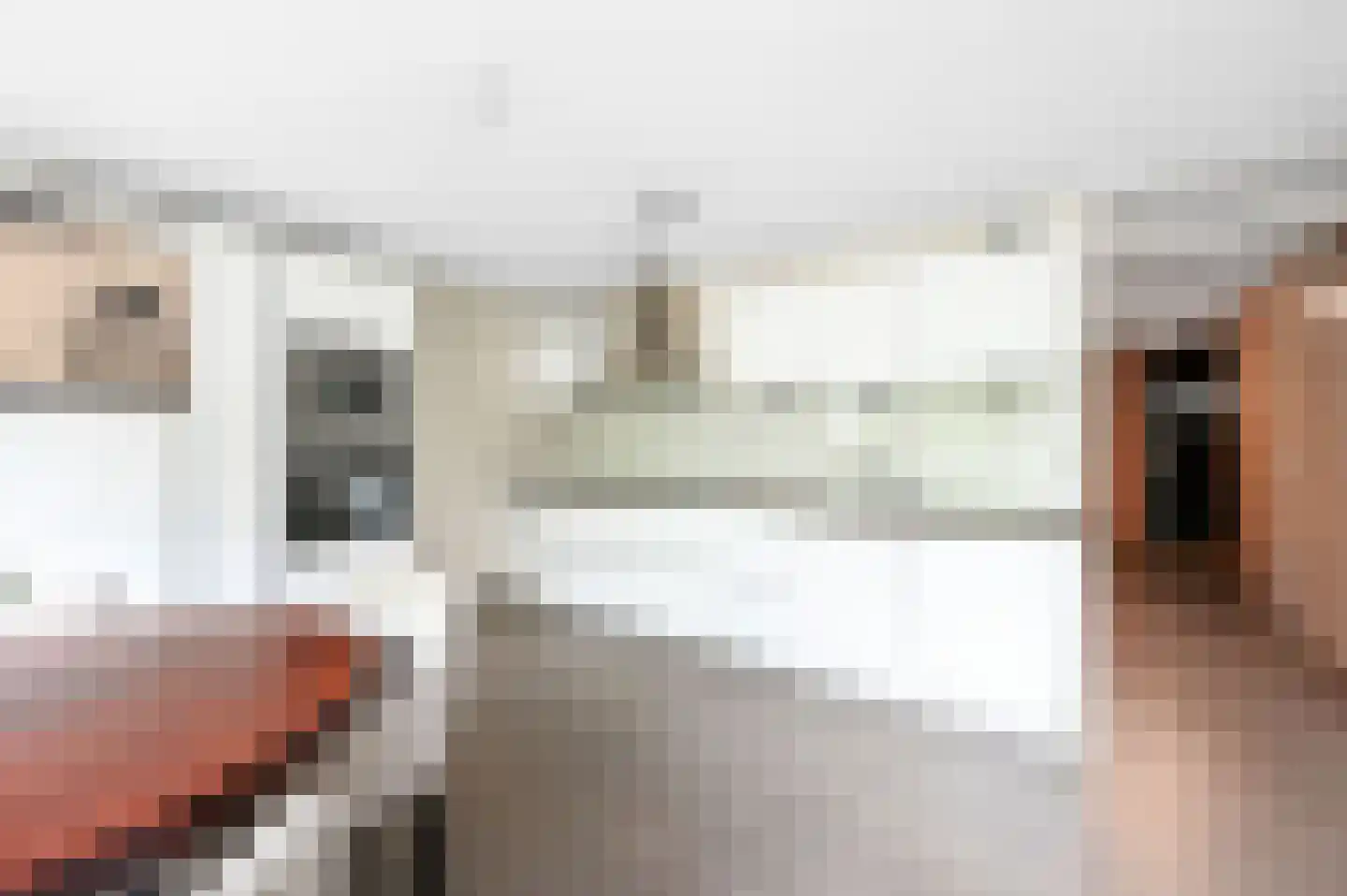 Prunuskade 5 Rijswijk thumbnail 19