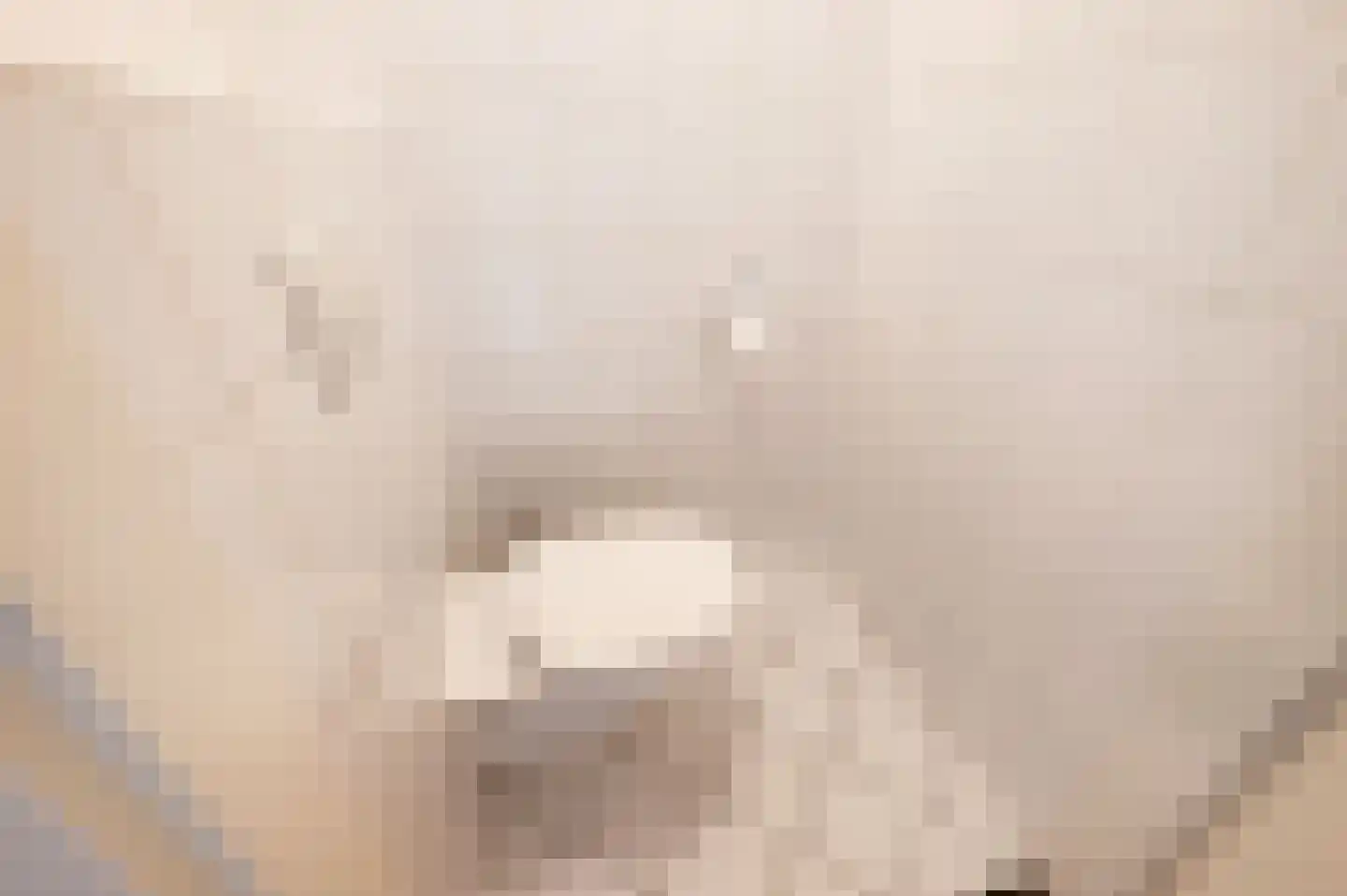 Prunuskade 5 Rijswijk thumbnail 25