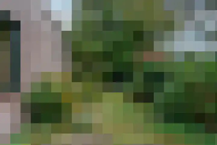 Prunuslaan 14 Bilthoven thumbnail 23