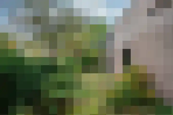 Prunuslaan 14 Bilthoven thumbnail 24