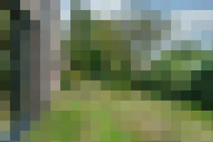 Prunuslaan 14 Bilthoven thumbnail 25