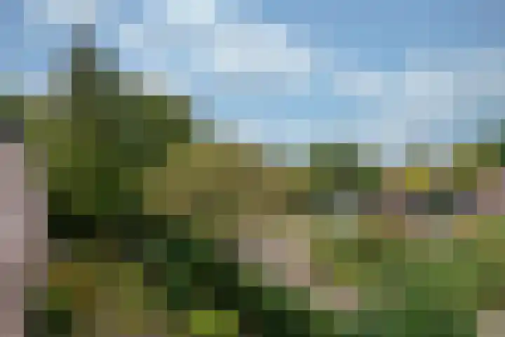 Prunuslaan 14 Bilthoven thumbnail 27