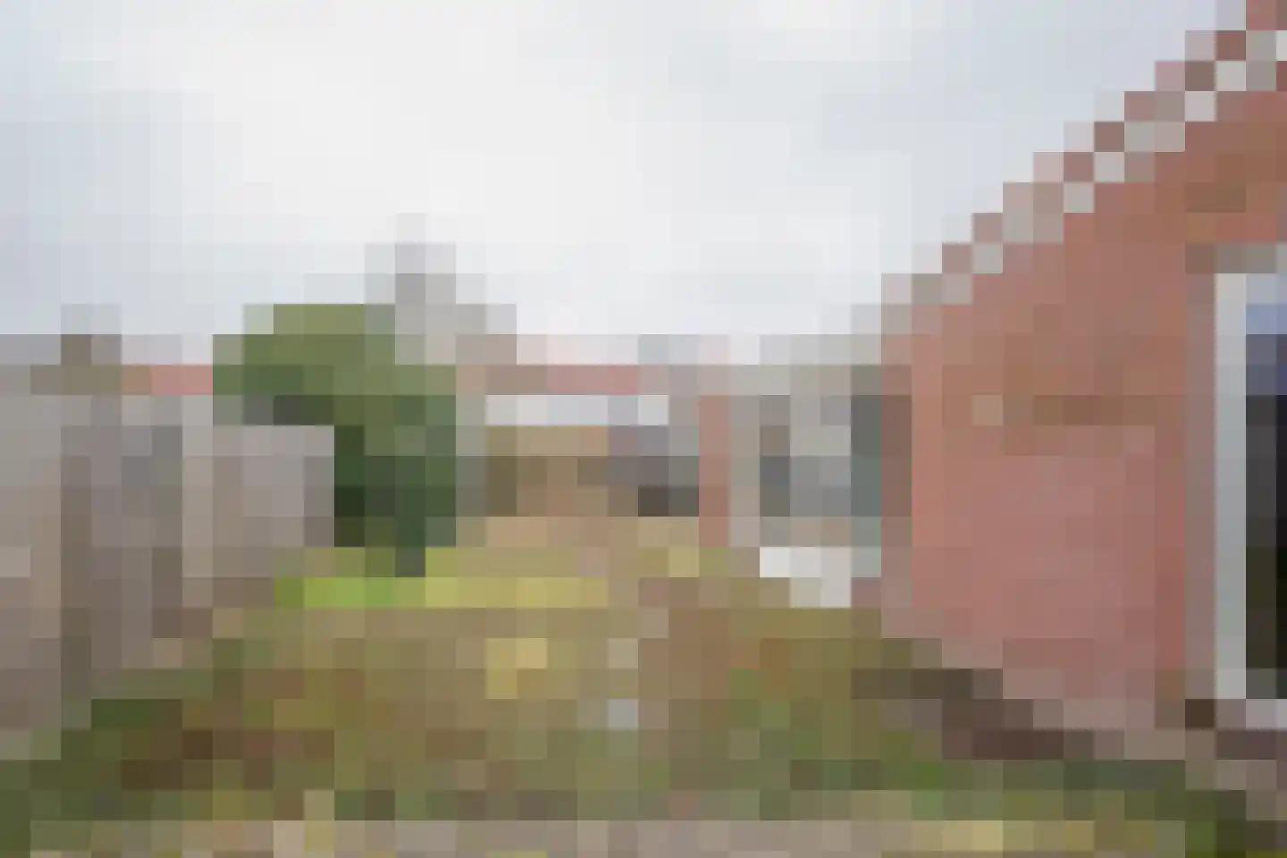 Prunuslaan 15 Leusden thumbnail 31