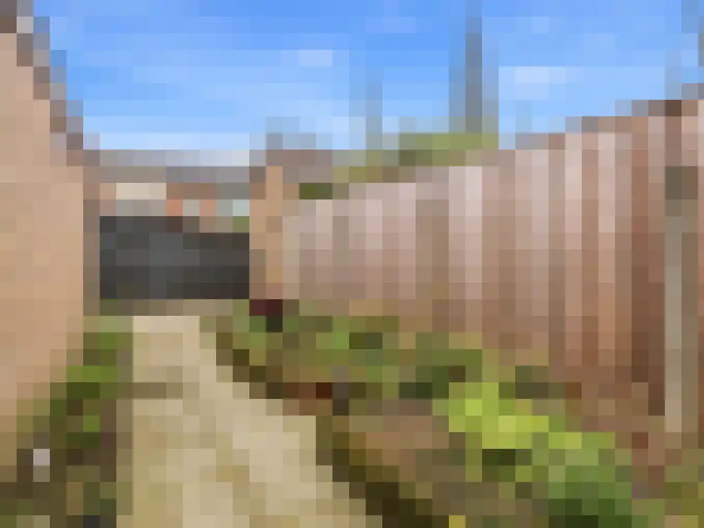 Prunuslaan 15 Warnsveld thumbnail 20