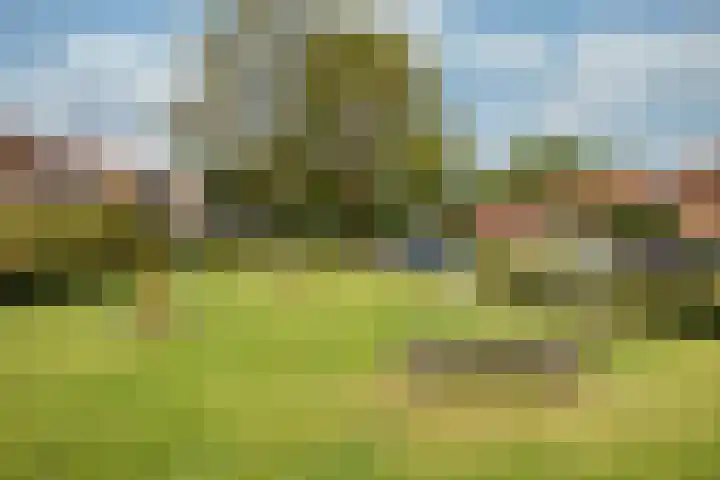 Prunuslaan 16 Leusden thumbnail 47