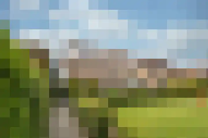 Prunuslaan 16 Leusden thumbnail 50
