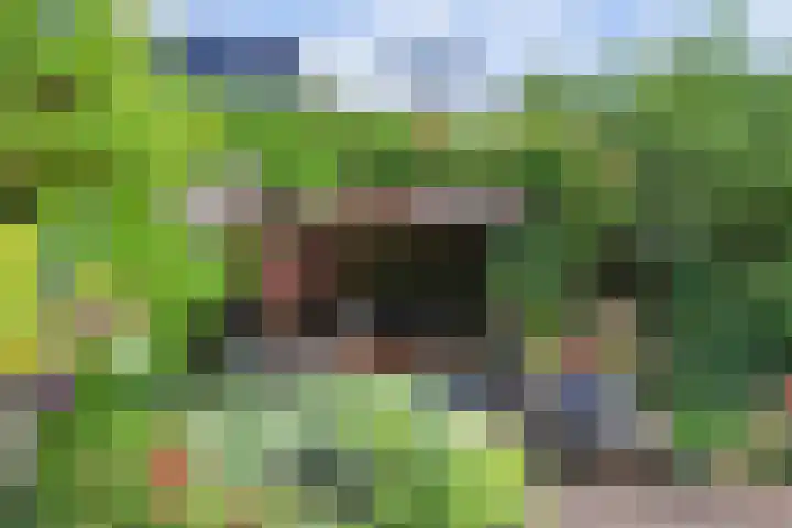 Prunuslaan 17 Gouda thumbnail 38