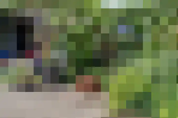 Prunuslaan 17 Gouda thumbnail 39