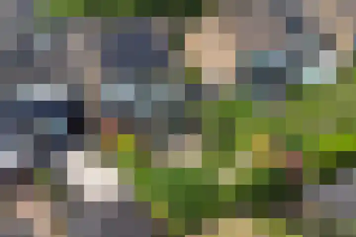 Prunuslaan 17 Gouda thumbnail 43