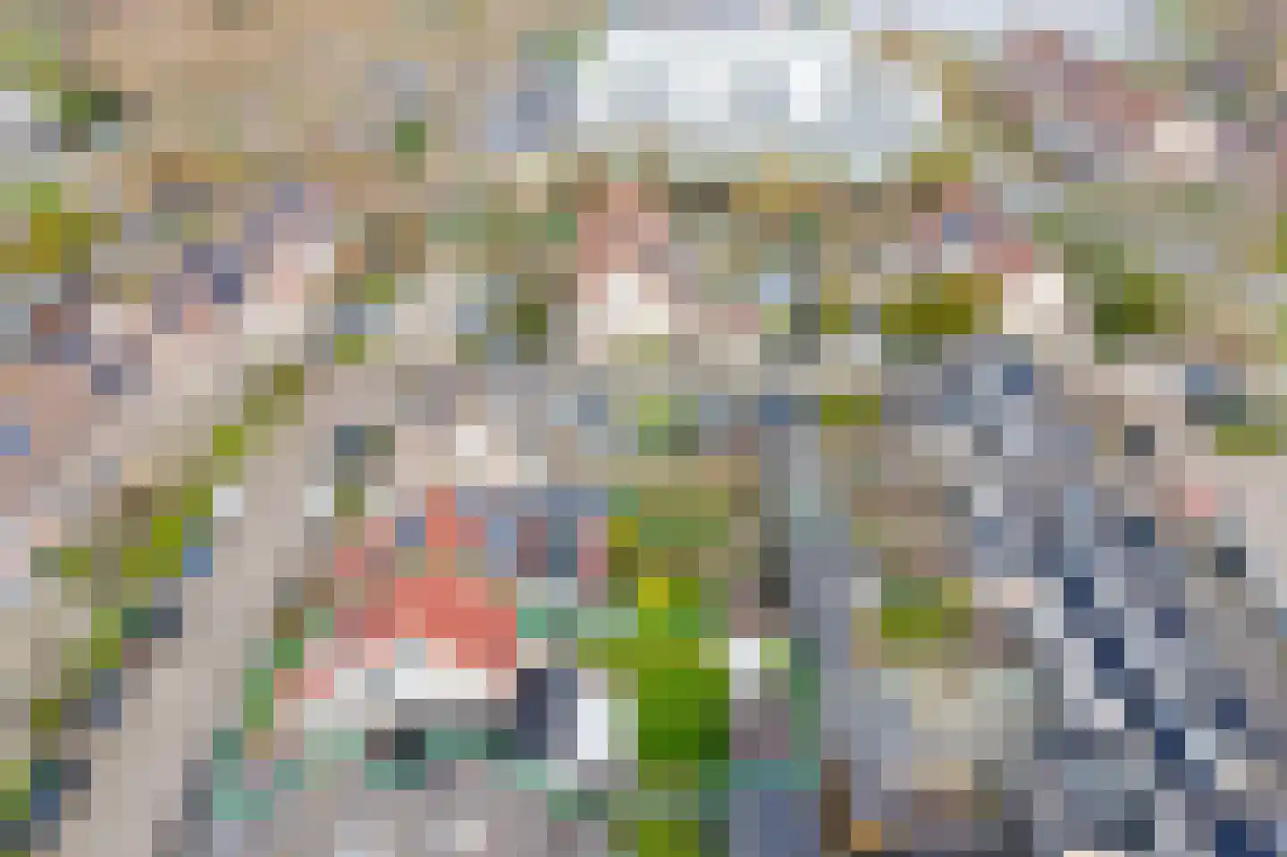 Prunuslaan 18 Sint Pancras thumbnail 36