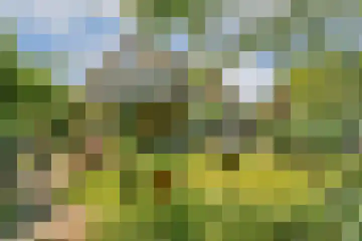 Prunuslaan 2 in Gouda