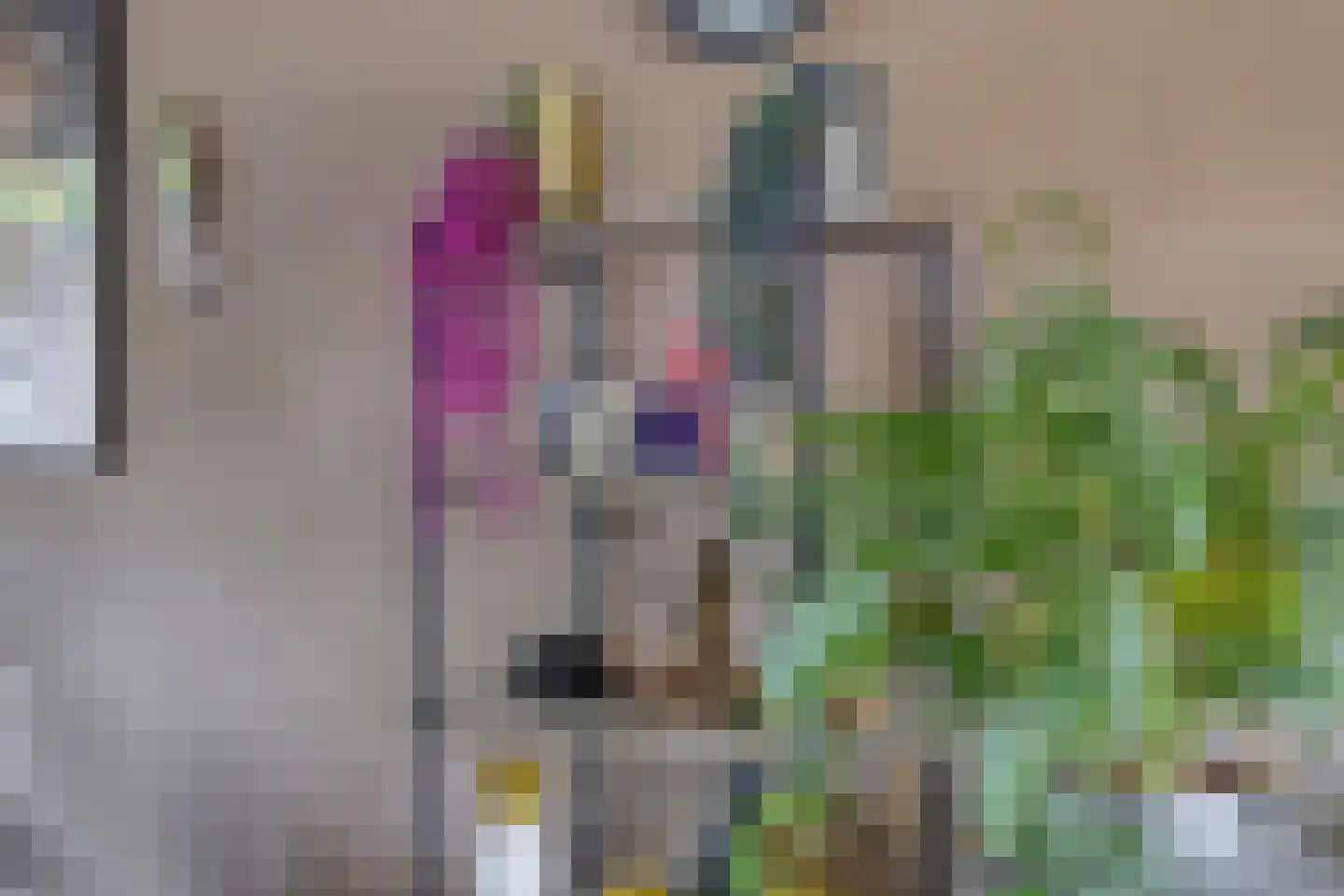 Prunuslaan 2 B Nieuwe Pekela thumbnail 16