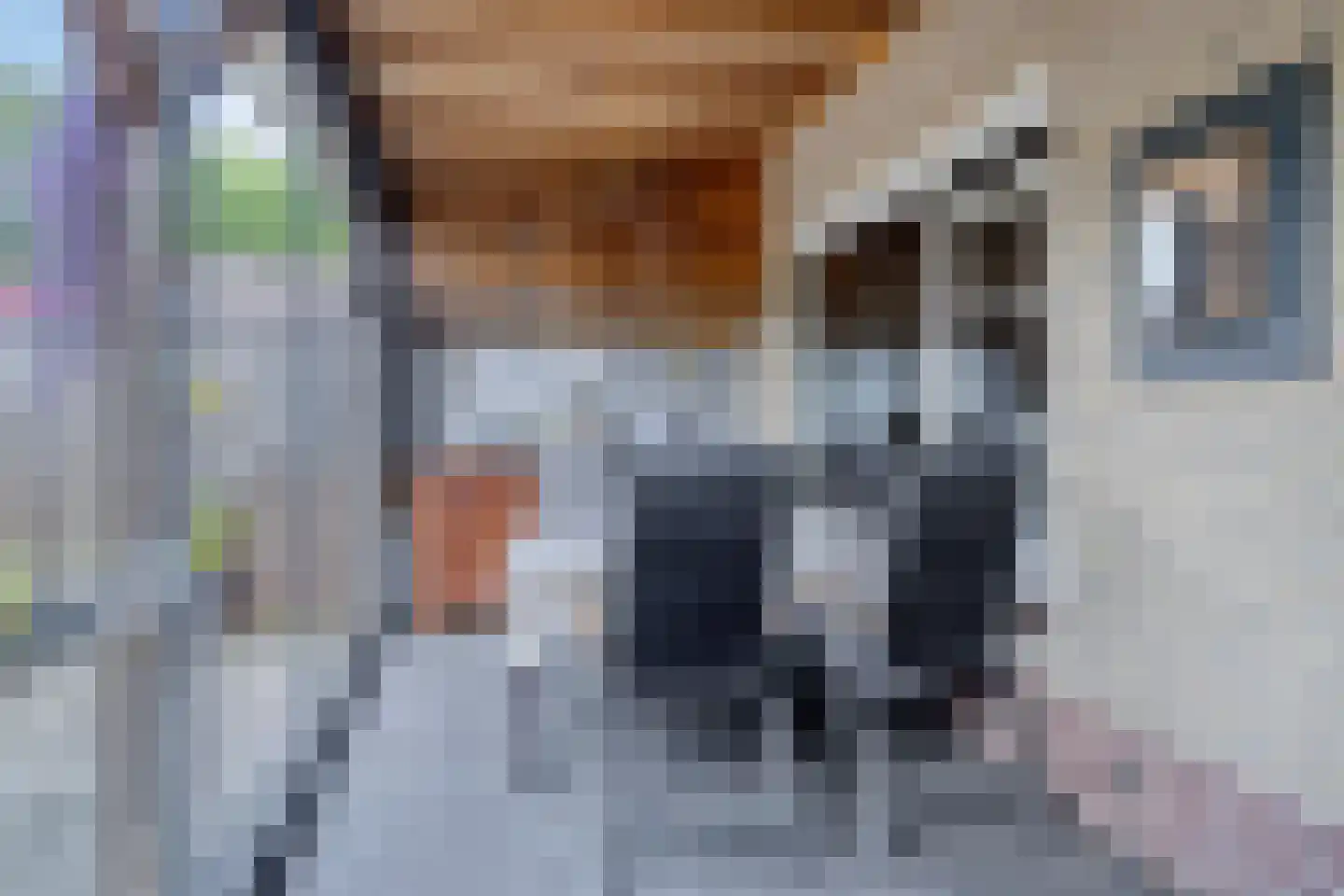 Prunuslaan 2 B Nieuwe Pekela thumbnail 42