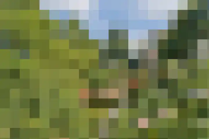 Prunuslaan 2 Gouda thumbnail 20