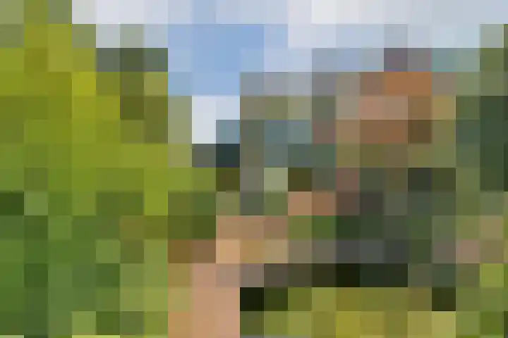 Prunuslaan 2 Gouda thumbnail 25