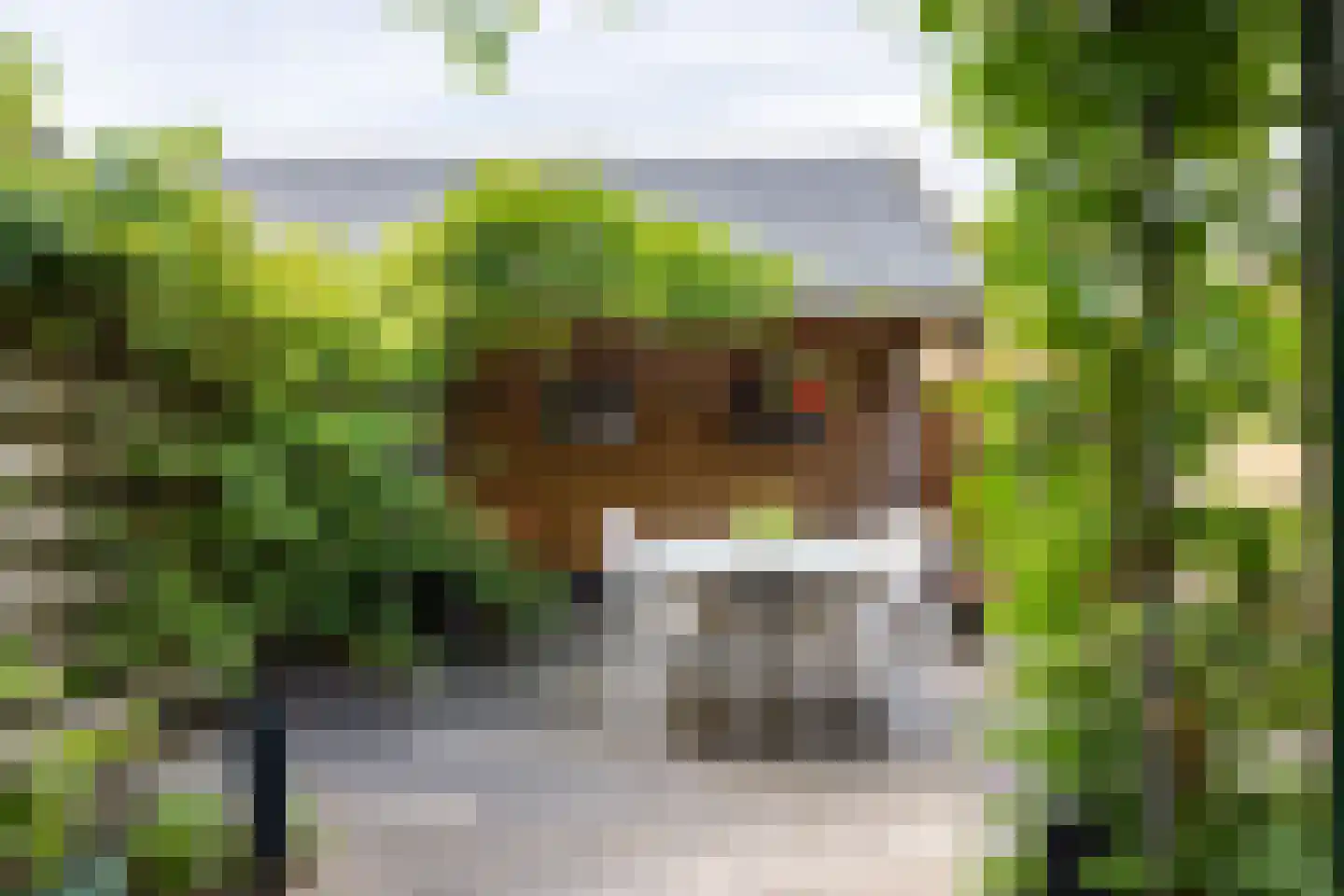 Prunuslaan 20 Warnsveld thumbnail 16