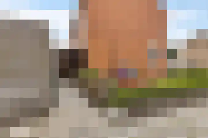 Prunuslaan 23 Nieuwolda thumbnail 11