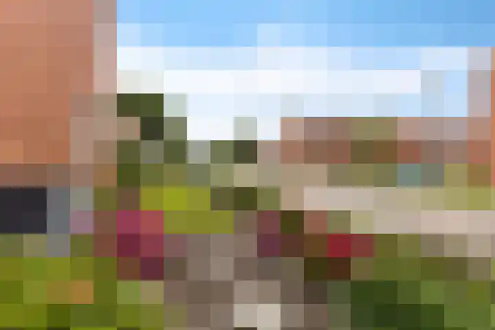 Prunuslaan 23 Nieuwolda thumbnail 12