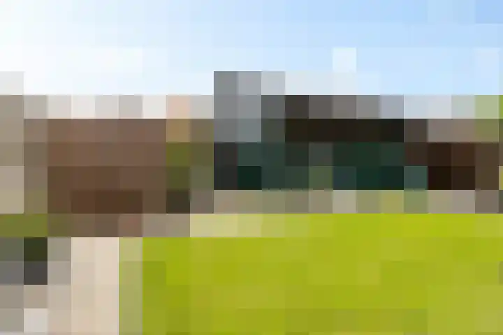 Prunuslaan 23 Nieuwolda thumbnail 18