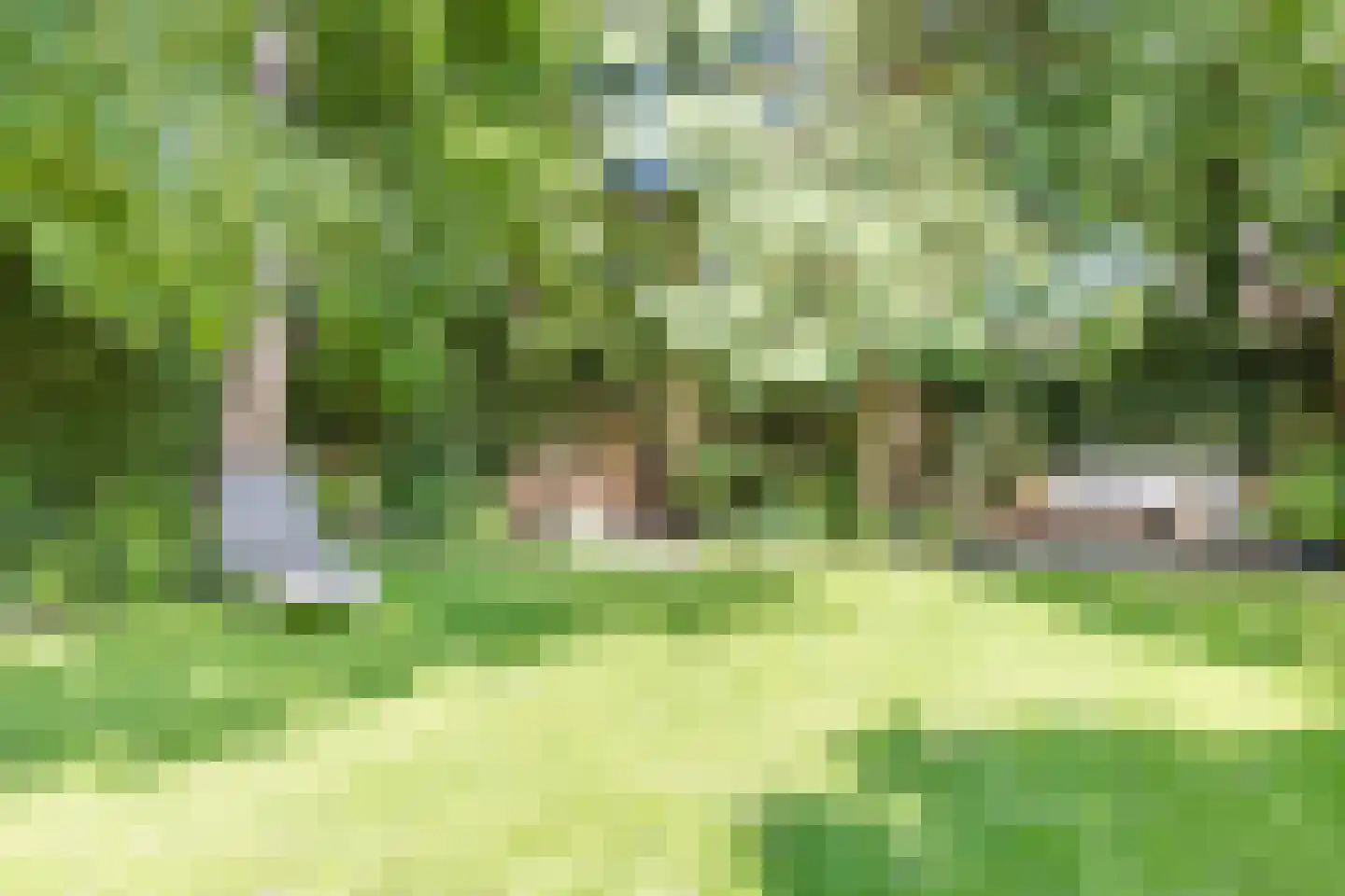 Prunuslaan 24 Soest thumbnail 4