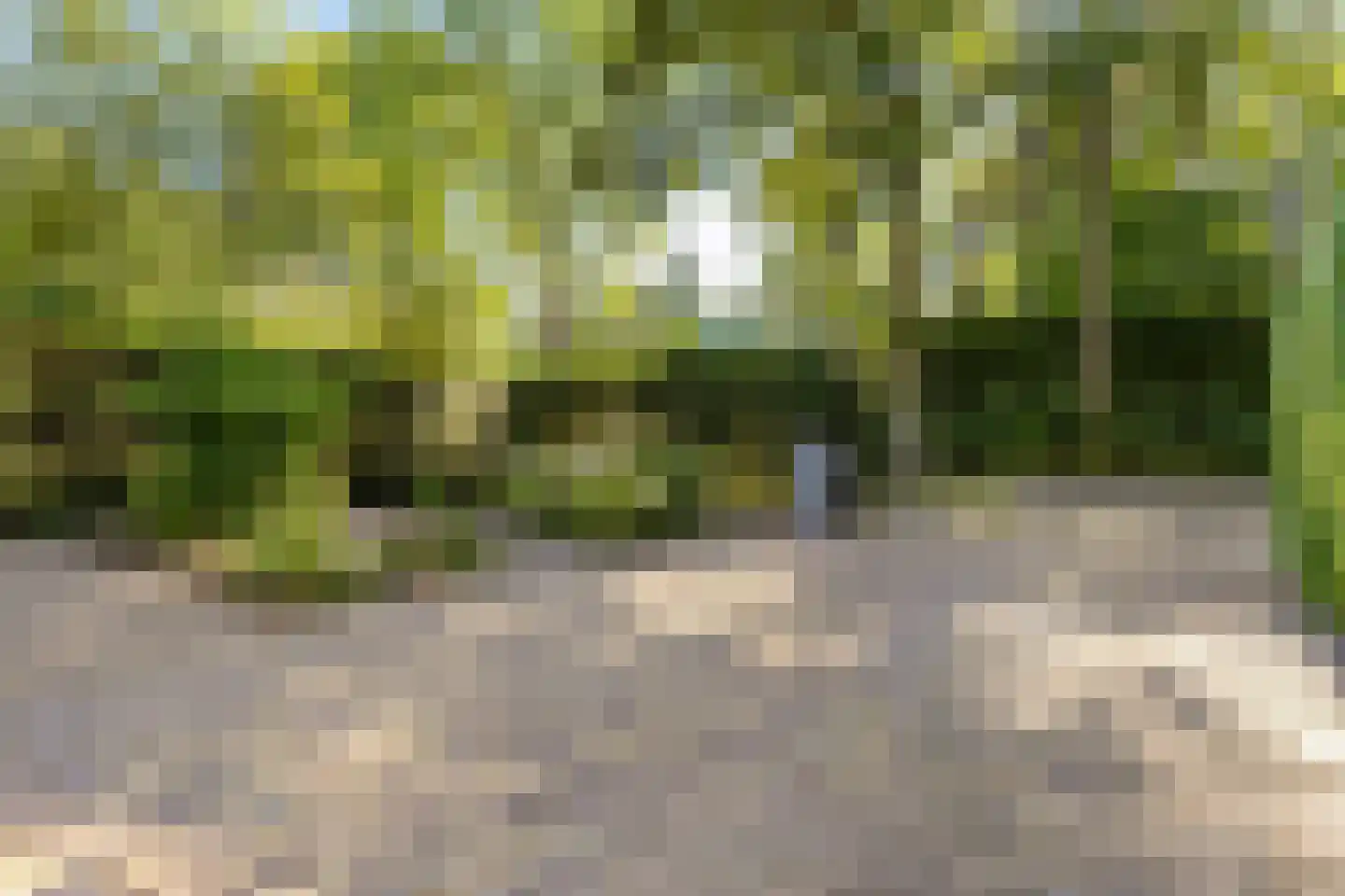 Prunuslaan 24 Soest thumbnail 50