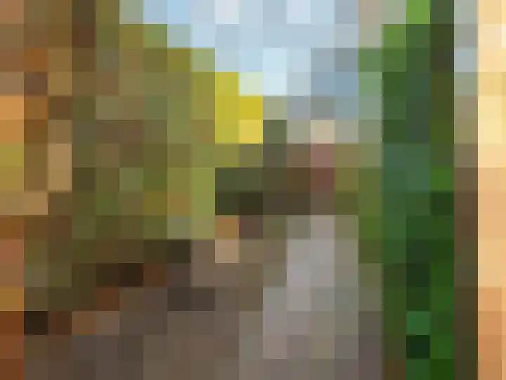 Prunuslaan 26 Warnsveld thumbnail 30